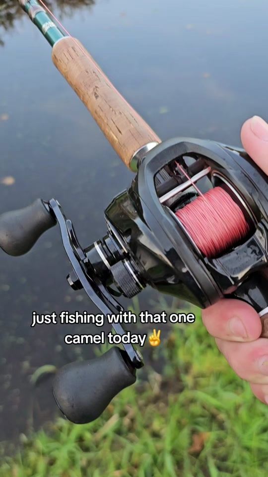 TikTok video thumbnail by fishing_jaimy