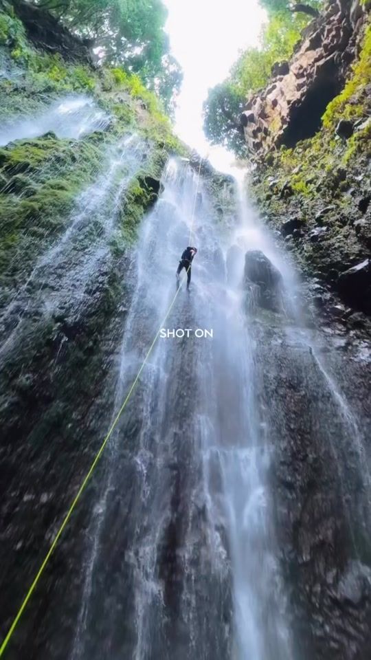 TikTok video thumbnail by belocalmadeira