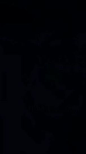 TikTok video thumbnail by flightmare_.httyd._