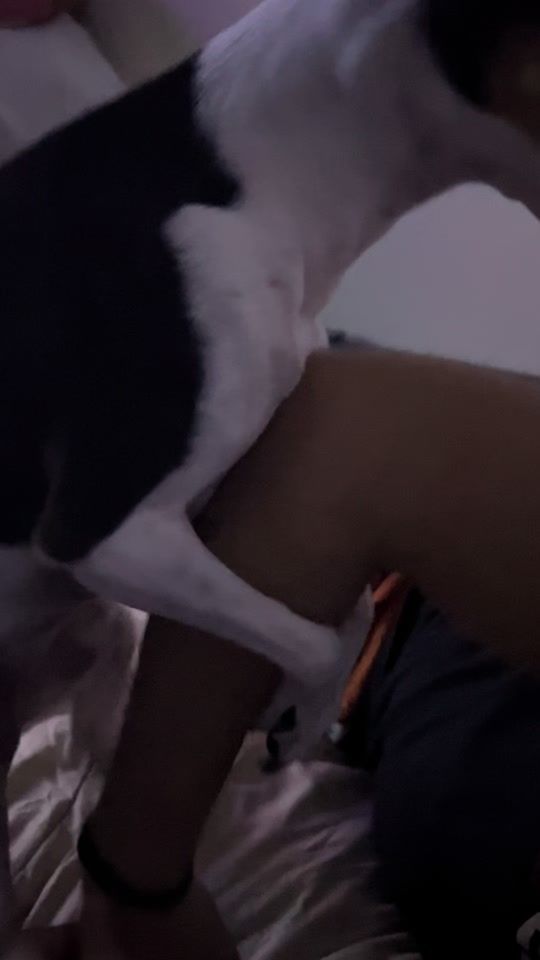 TikTok video thumbnail by 0____diana___0