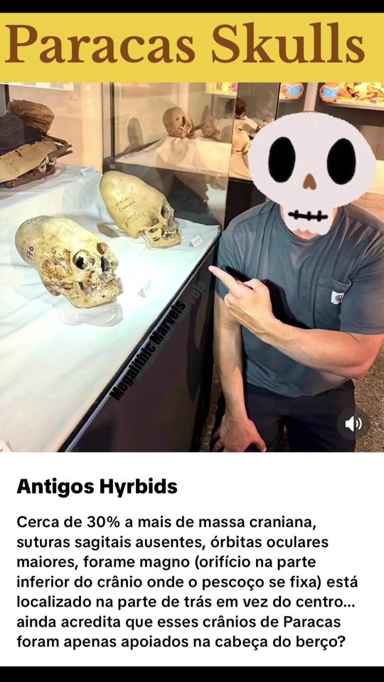 TikTok video thumbnail by ferlisfeli