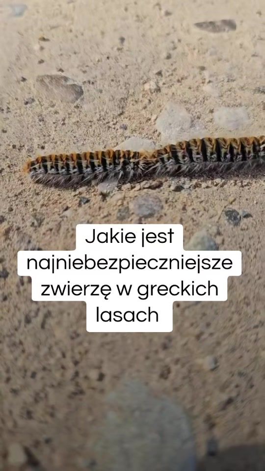 TikTok video thumbnail by patgrecja
