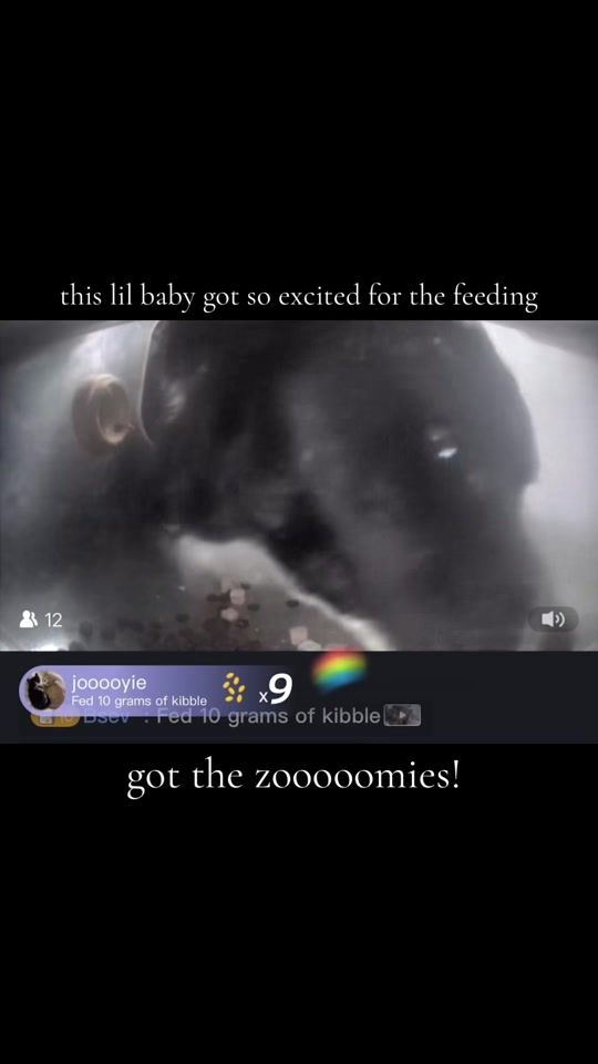 TikTok video thumbnail by jooooyie