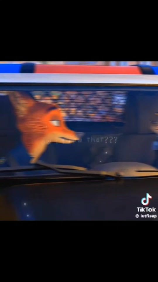TikTok video thumbnail by fabienne.van.hal