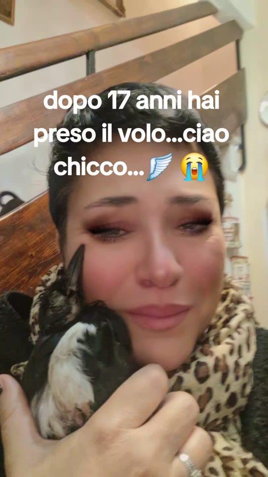 TikTok video thumbnail by katiamenconi