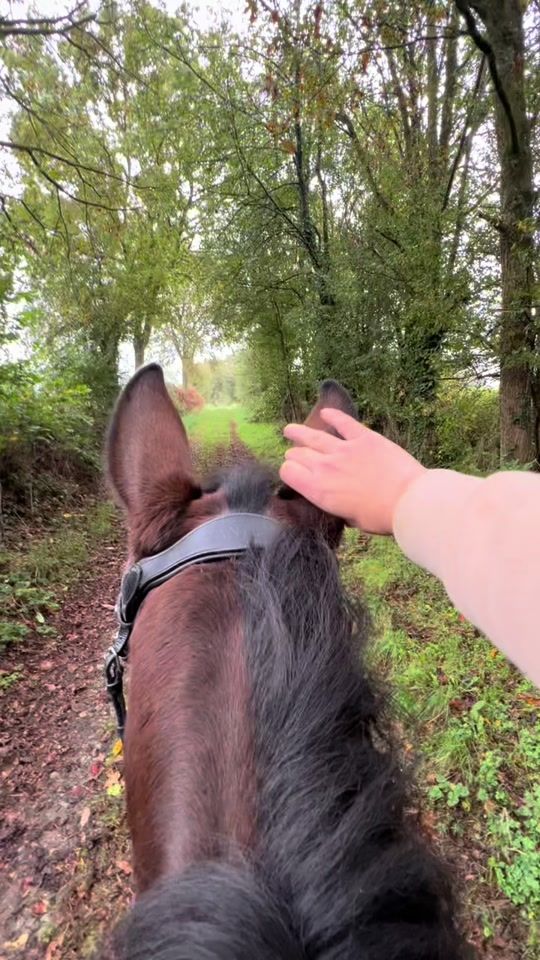 TikTok video thumbnail by pamplylah_