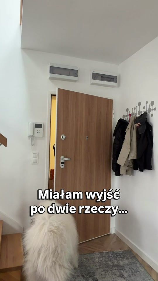 TikTok video thumbnail by pani_panska