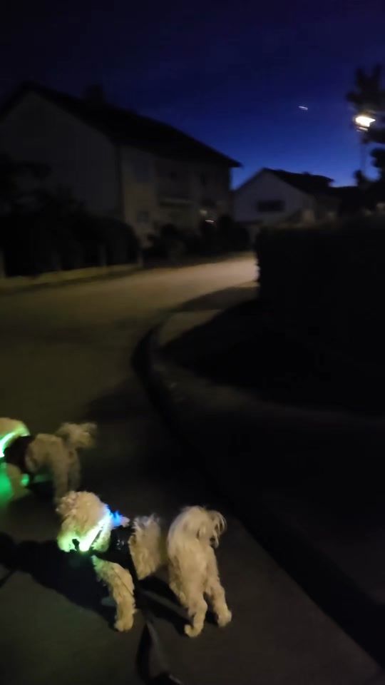 TikTok video thumbnail by ringodance_official