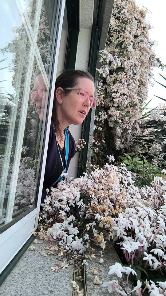 TikTok video thumbnail by fatiticabral