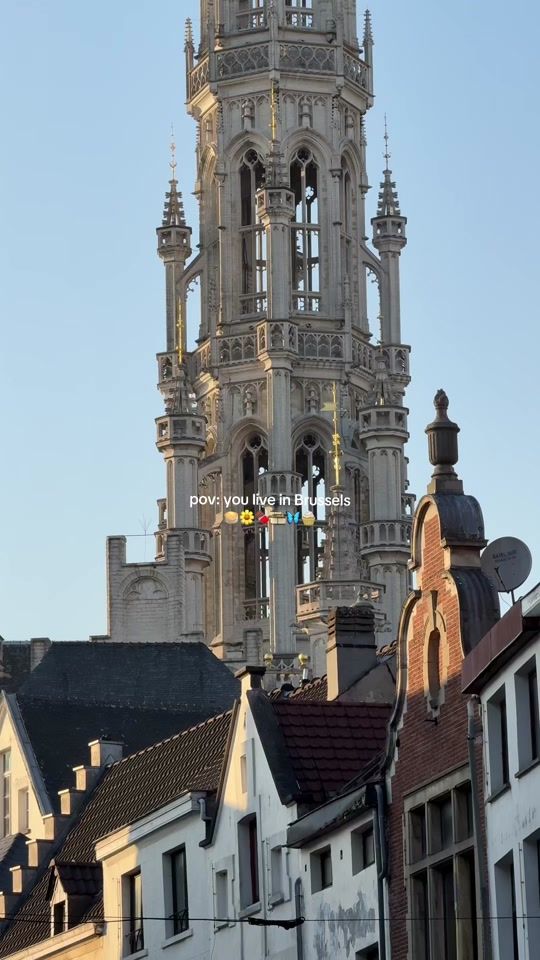 TikTok video thumbnail by dodoinbrussels