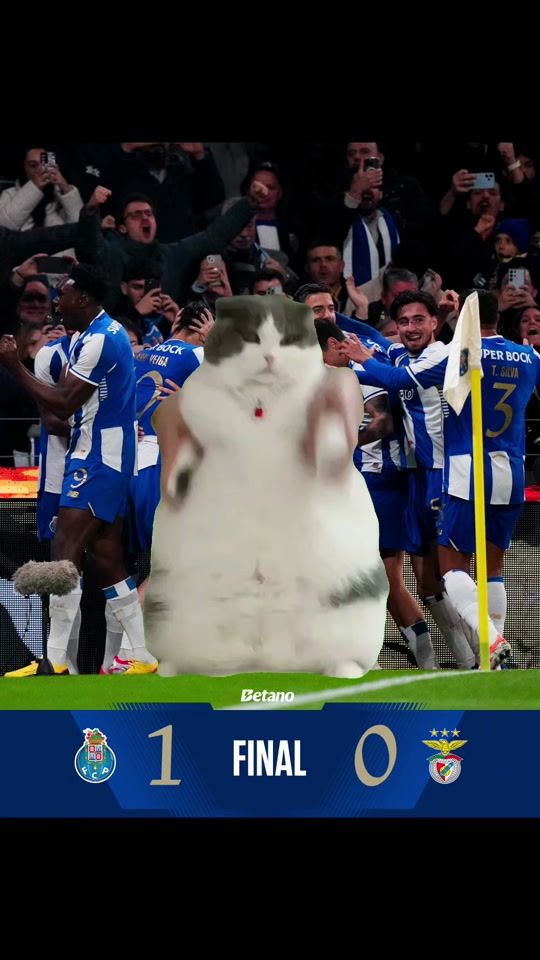 TikTok video thumbnail by fcporto