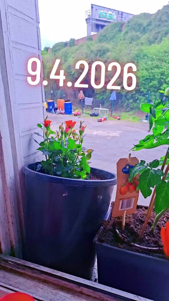 TikTok video thumbnail by helan.helin