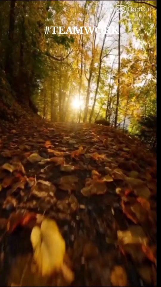 TikTok video thumbnail by manpowers1