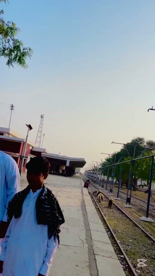 TikTok video thumbnail by derawall30246