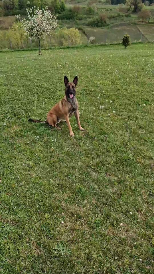 TikTok video thumbnail by ivy0046