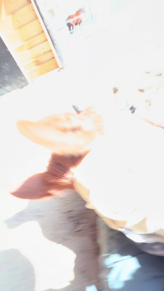 TikTok video thumbnail by blueberriebb