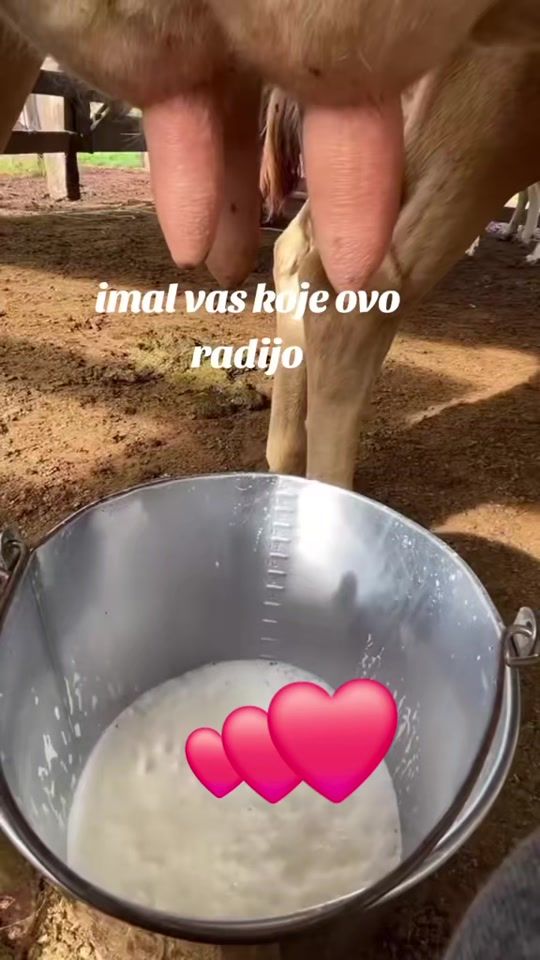 TikTok video thumbnail by grill_vujic