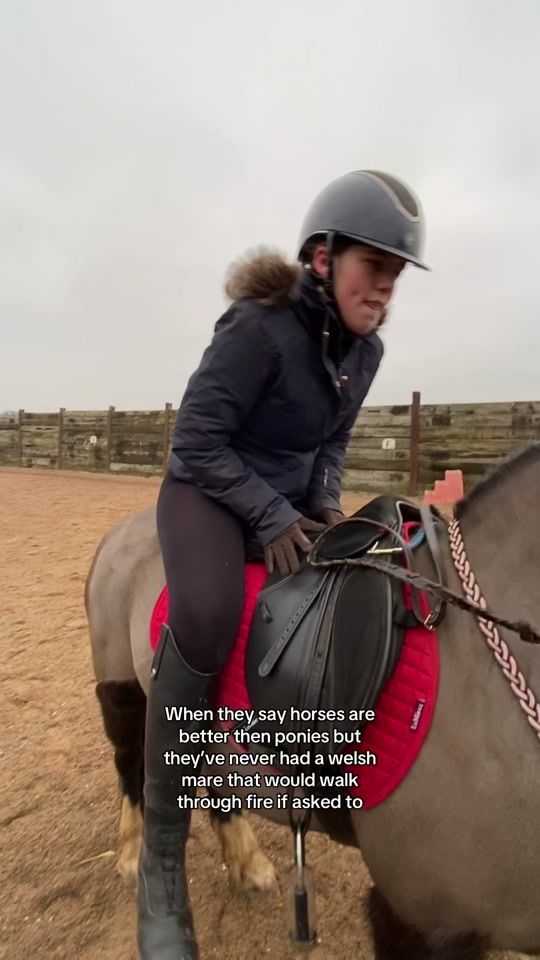 TikTok video thumbnail by kayla_equestrian24