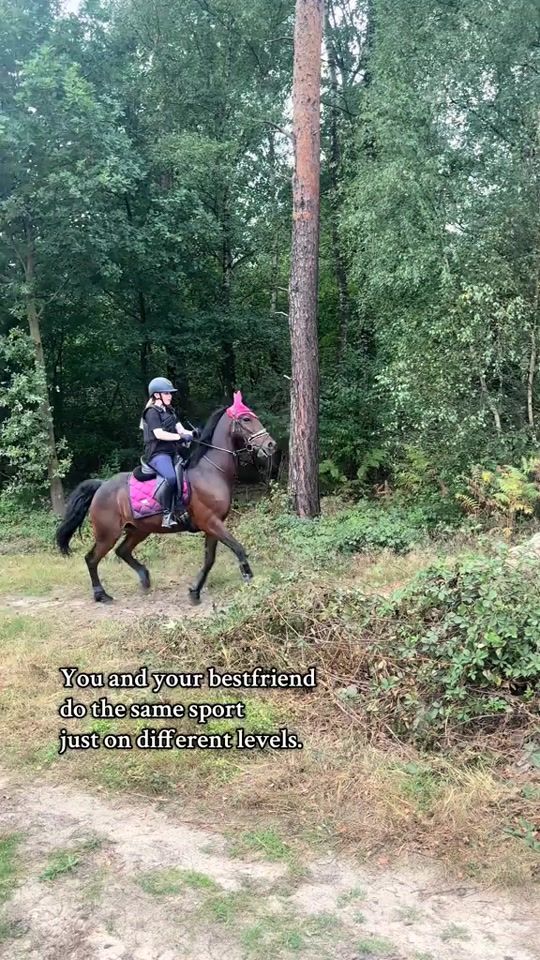 TikTok video thumbnail by santos.irishhorse