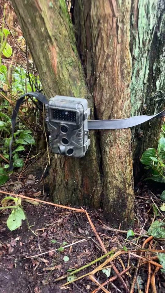 TikTok video thumbnail by danrushty