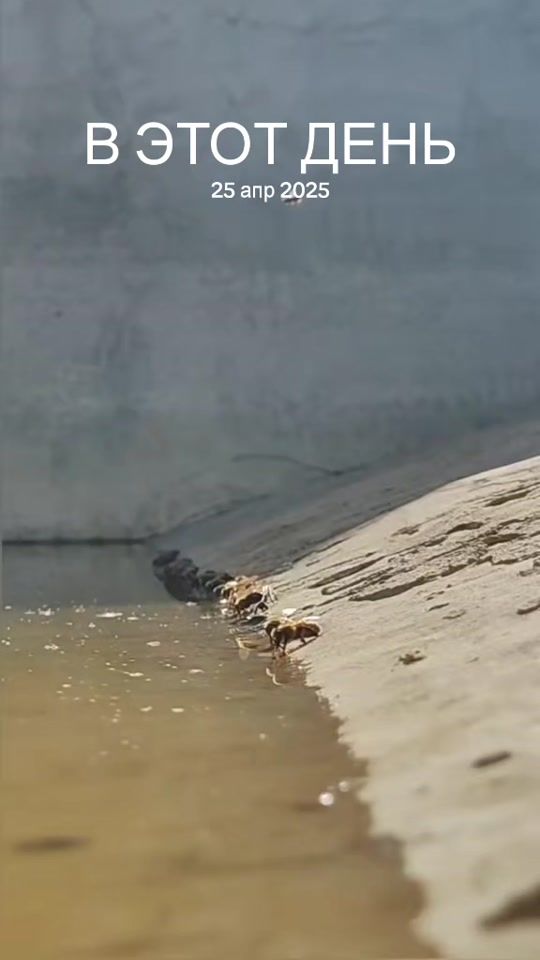 TikTok video thumbnail by a_l_e_k_77