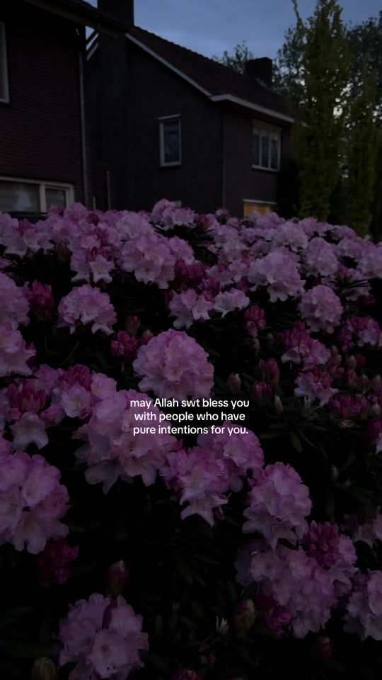 TikTok video thumbnail by bismallahx