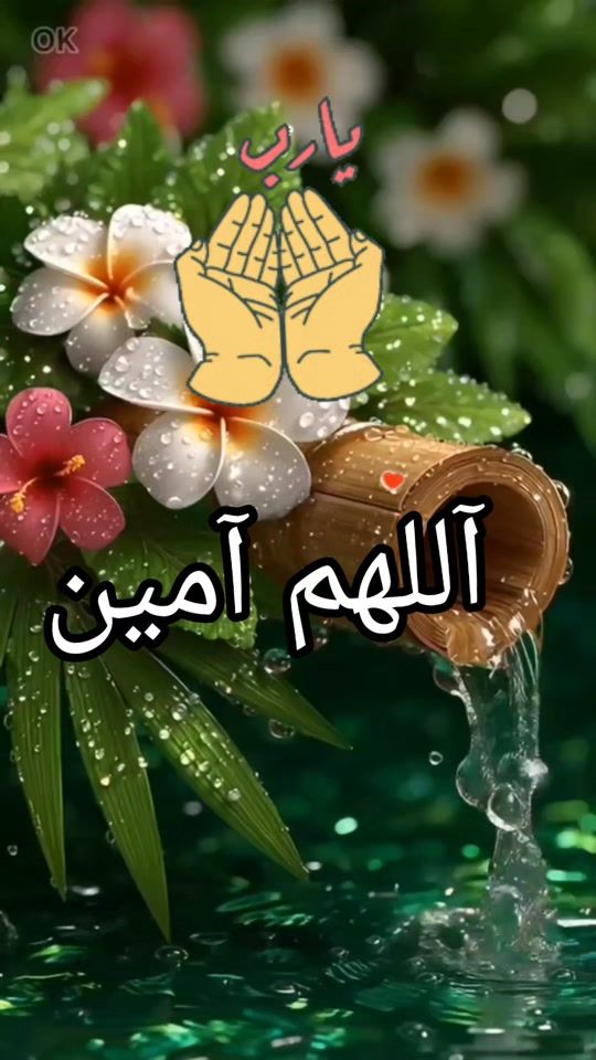 TikTok video thumbnail by ikbenanom124e