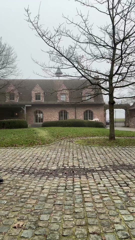 TikTok video thumbnail by verhelstemma