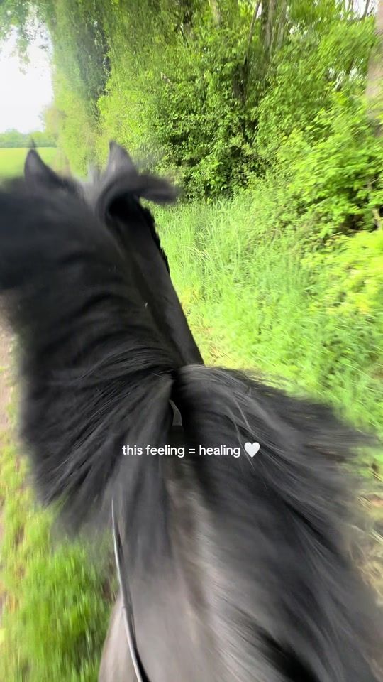TikTok video thumbnail by kristina_goetschl