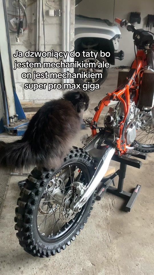 TikTok video thumbnail by piechowiak_emil