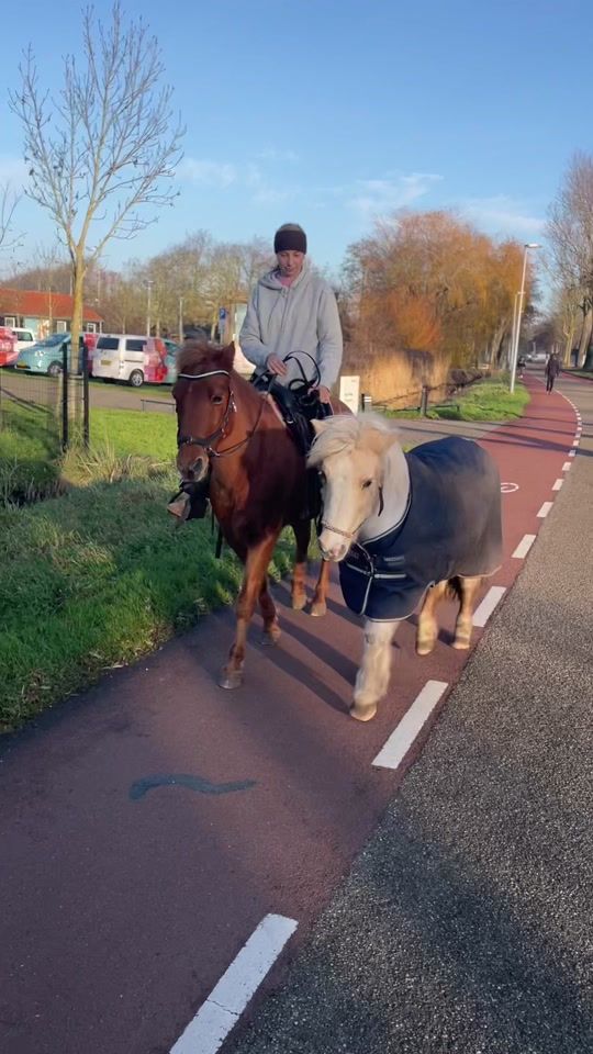 TikTok video thumbnail by equi_santje1