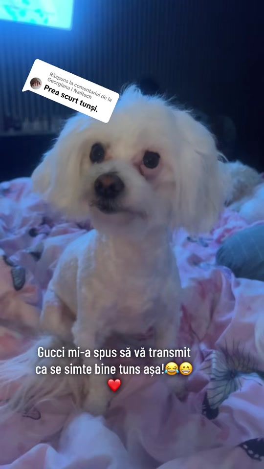 TikTok video thumbnail by sirca.andrei