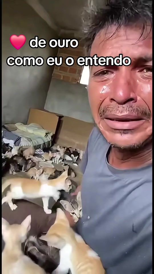 TikTok video thumbnail by anaferraz12