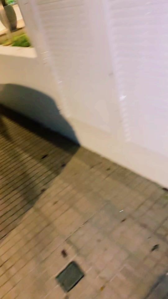 TikTok video thumbnail by schawo_angel