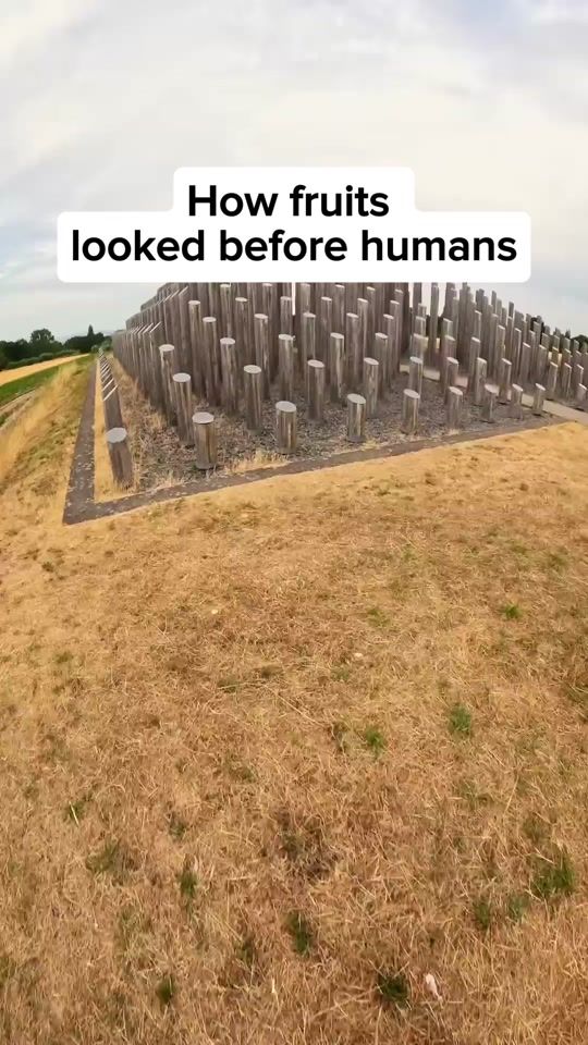 TikTok video thumbnail by shadowfacts_x