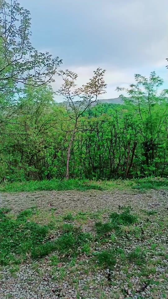 TikTok video thumbnail by t088744