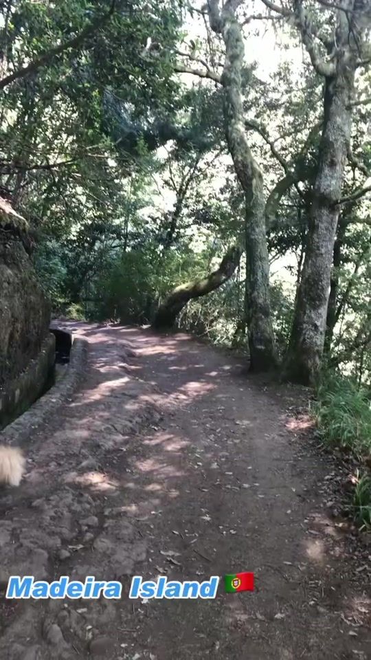 TikTok video thumbnail by droc.10