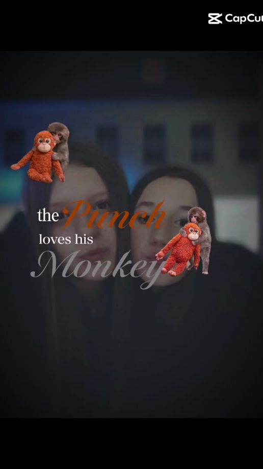 TikTok video thumbnail by mm932984
