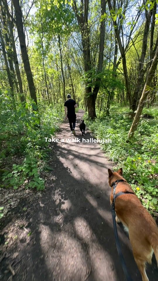TikTok video thumbnail by dinksocial