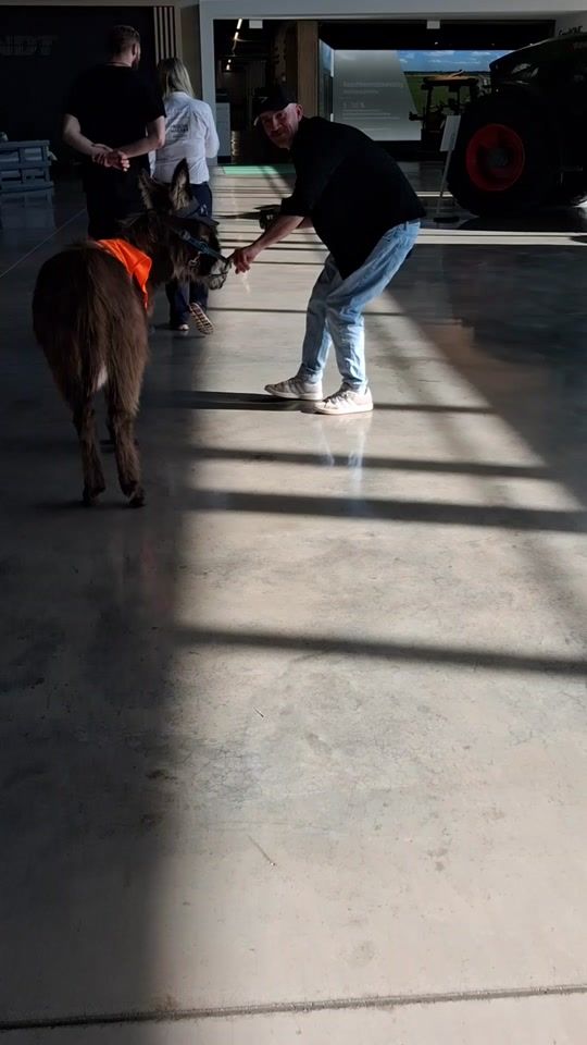 TikTok video thumbnail by funkenbauer