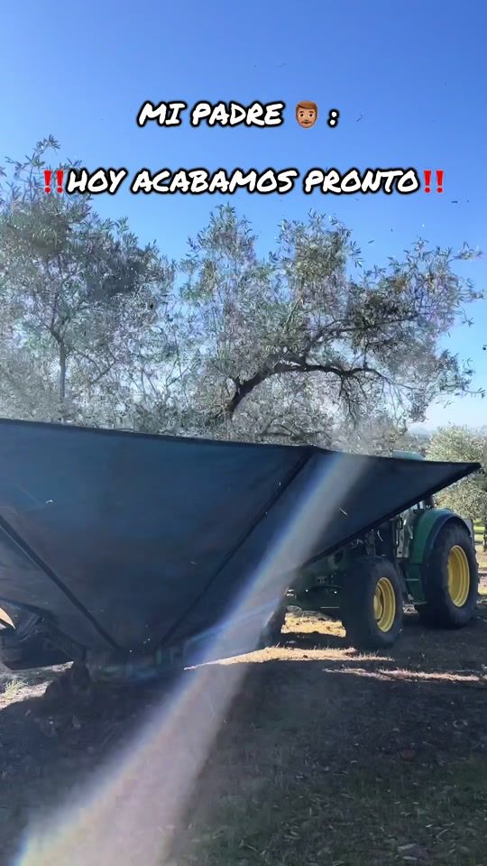 TikTok video thumbnail by agri_cendrerol