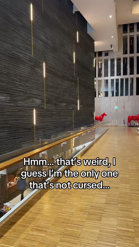 TikTok video thumbnail by furryfrodo