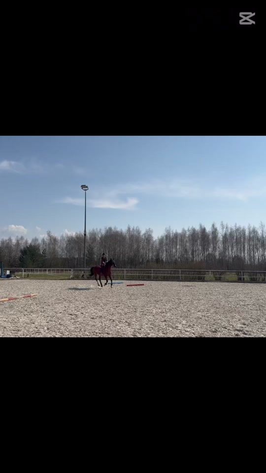 TikTok video thumbnail by iskra_eq
