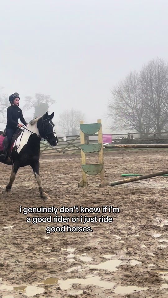TikTok video thumbnail by equinelarne