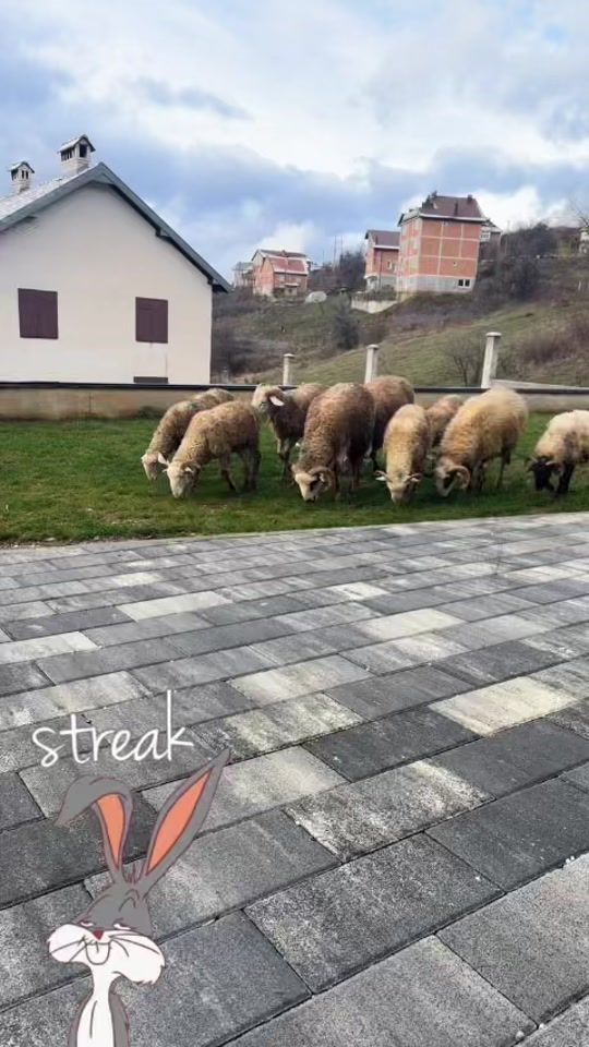 TikTok video thumbnail by kosv_250