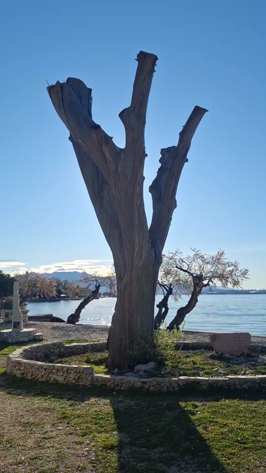 TikTok video thumbnail by nyteikyllajaksa