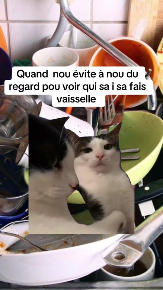 TikTok video thumbnail by le_r974