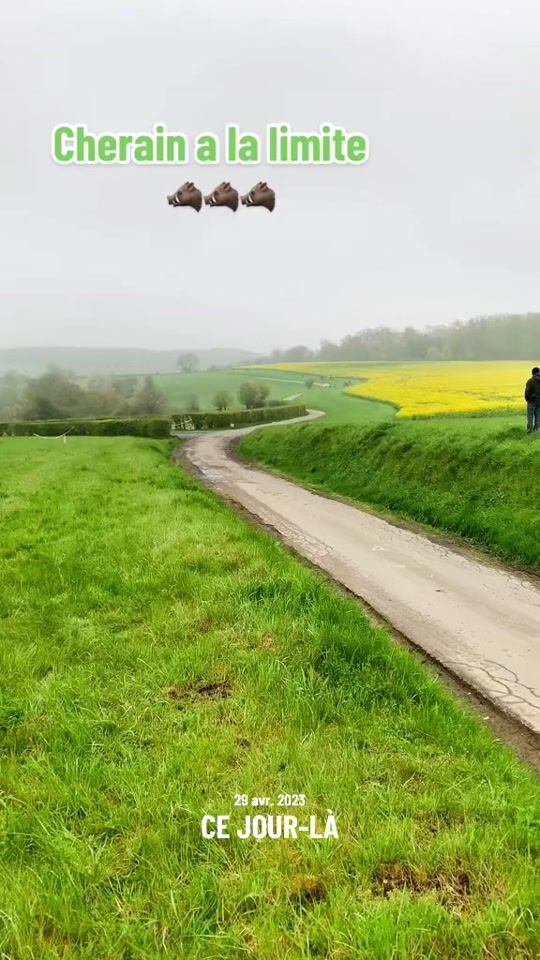 TikTok video thumbnail by rallyedusanglier