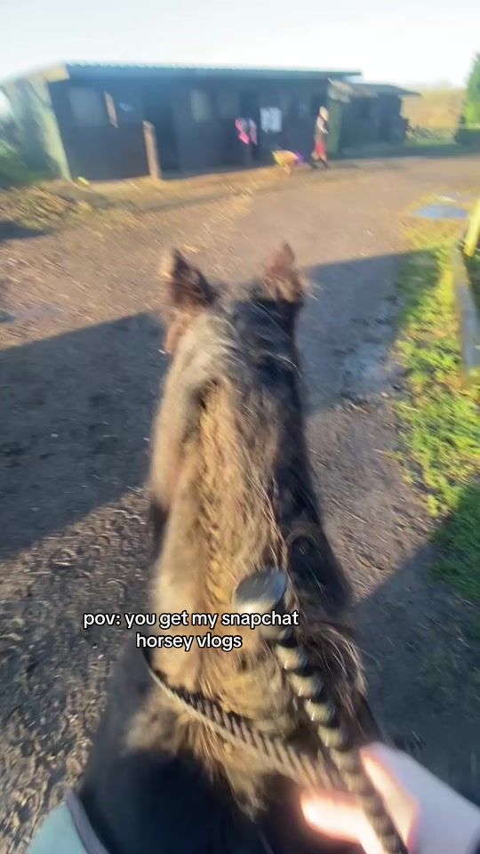TikTok video thumbnail by imogensequin3
