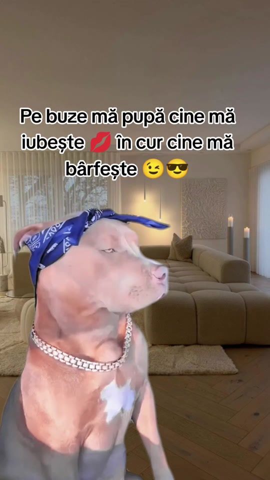 TikTok video thumbnail by filote_adina